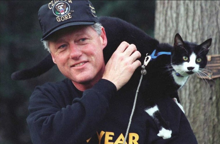 One of the joys of having a 132 room house is the ability to fill it with pets! We love our animals here at Pro-Sapien, so we hope that Mr Trump keeps up the tradition of recent Presidents and fills the White House with various pets. President Obama famously has Bo and Sunny, two Portuguese Water Dogs, President Clinton had Socks the cat (see below)… even first President Abraham Lincoln had two goats (and 8 dogs and a donkey). According to Mr Trump’s spokeswoman Hope Hicks, “no decisions have been made” about pets. We’d suggest he sticks with something more traditional, as there are many risks in keeping exotic pets.