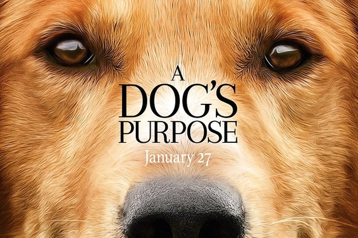 is a dogs purpose a true story