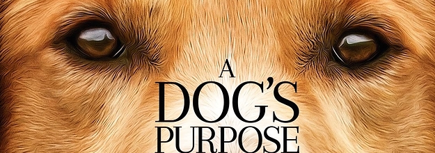 is a dogs purpose a true story