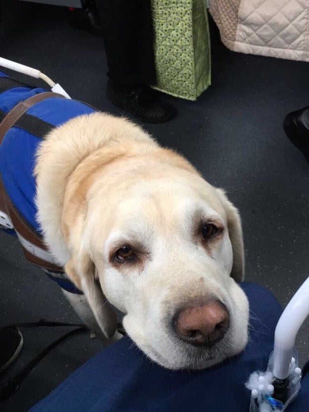 This kind citizen who wanted to spread the love on his morning commute.