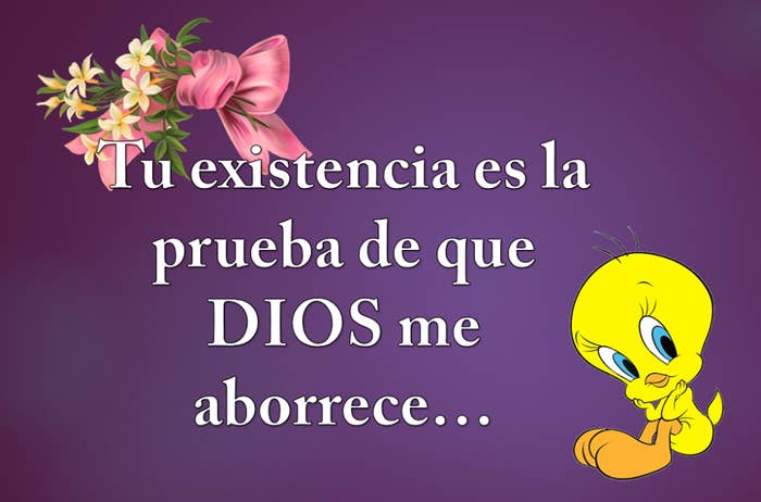 Imagenes De Piolin Groseras