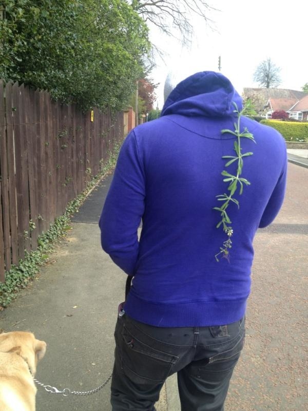 You're not Scottish if you've never done this. "Hahaha! I stuck a plant to his back! Hahaha! He hasn't noticed! Ha!"
