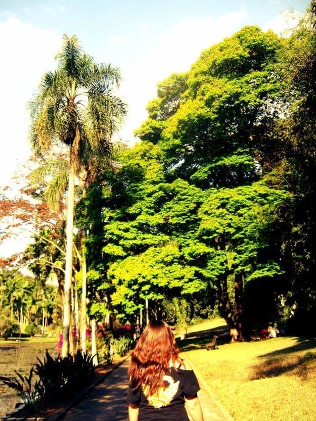Jardim Botânico.