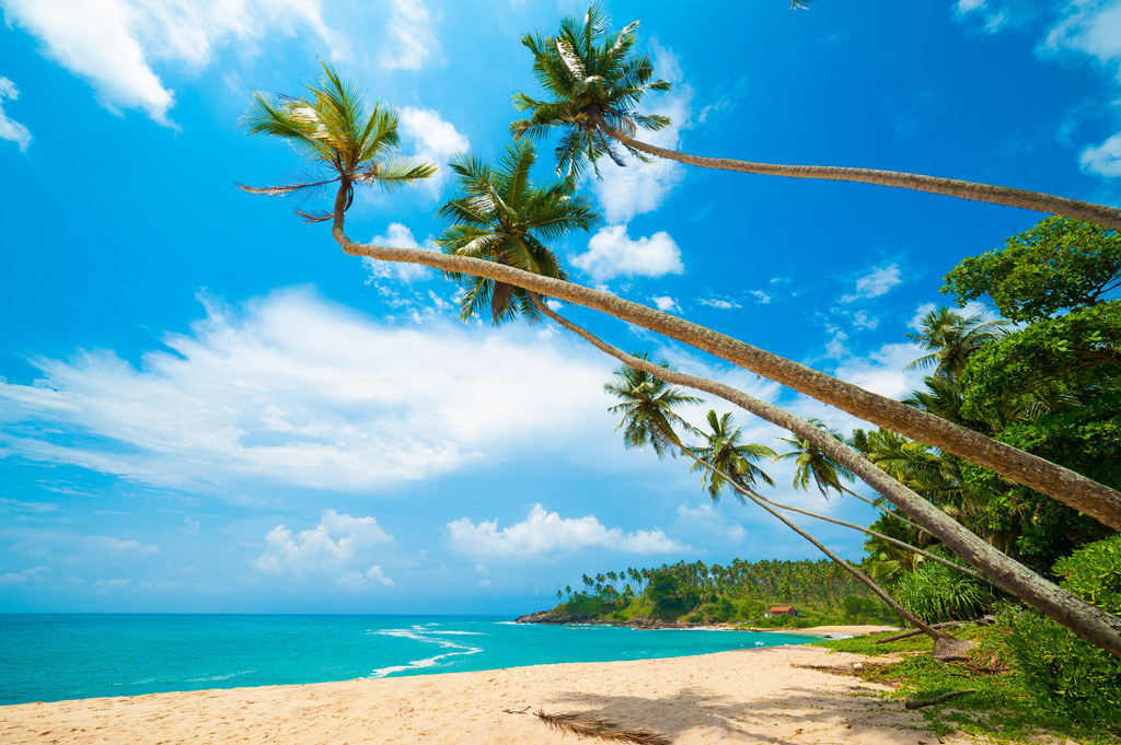 Take a much deserved break from the hustle and bustle of everyday life, by relaxing in an awe-inspiring beach in Weligama; the beach is great for surfers and it’s a paradise for those who love surfing. Hikkaduwa or “Hikka” as Sri Lankans call it, has many spots for snorkeling and there is a turtle hatchery just north of town.