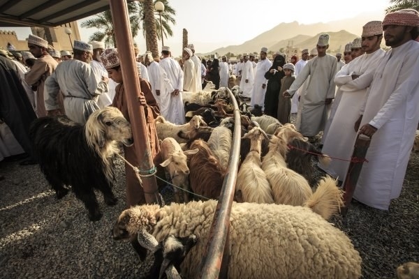 Nizwa Souq hosts a livestock souk every Friday; plan some time to really explore the very modern vegetable markets, the sweet shop and the non-restored section to the east. Through its many alleys and divisions, Nizwa Souq has remained for hundreds of year’s home to a number of local industries.