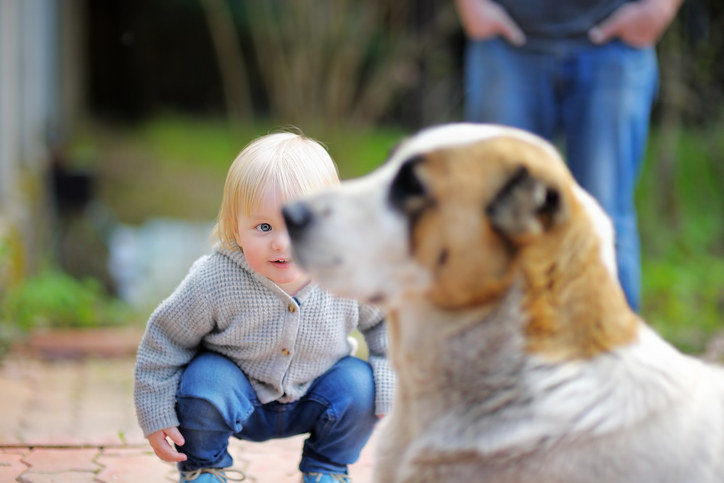 "No hace nada, NO COMO TU HIJO".