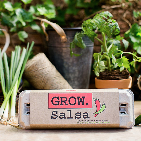 Salsa growing kit in brown-colored egg carton packaging