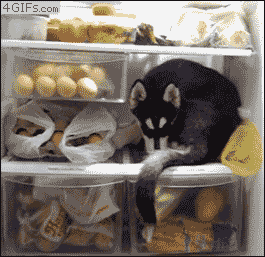 If the fridge is stuffed full of food, there’s a good chance that some of the stuff has already gone bad. Maybe only a few things in the door are beyond saving, but it’s a problem when you routinely buy more from the grocery store than you can possibly eat.