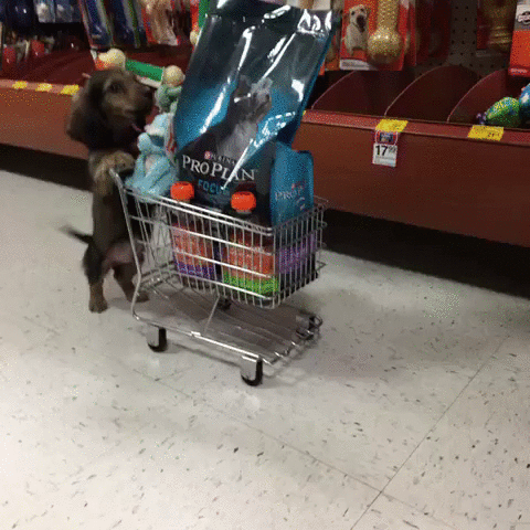 You found all these great things online, so why not add them to the cart? It’s better than finding them again later. Sure, the “carts” on Amazon have infinite space, but you’d get some funky looks with that random collection of stuff in a real checkout line.