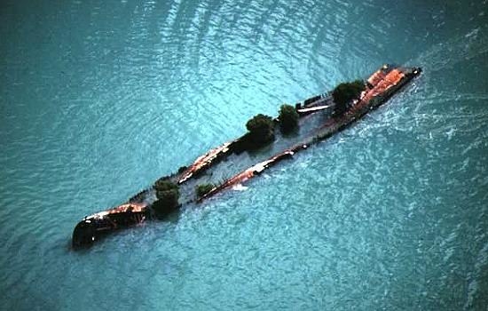 Head over to Magnetic Island to explore through some amazing ship wrecks – some of which have home to some vibrant marine life!