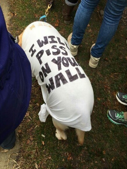 This dog, who wants to make one thing very clear.