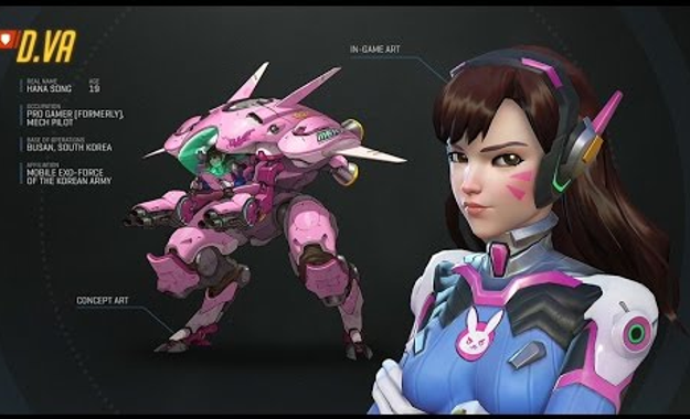 The group carrying the flag have called themselves For D.Va, and the symbol they've adopted is the rabbit that appears on the character's clothing.