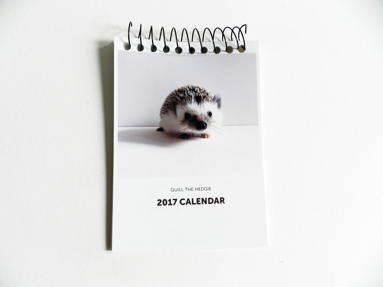 3. Using a hole puncher, evenly punch holes on the top. Next, place a book spiral into the holes. This will allow you to flip through the pages.