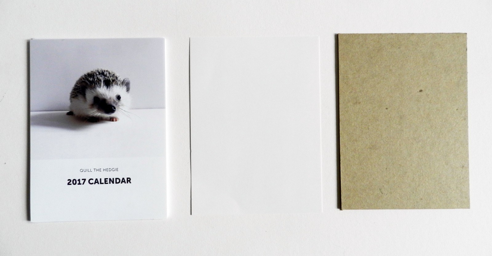 2. Cut out a piece of cardboard or poster board to be the same size as your pages. This will help support the calendar.