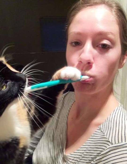 この世の中心は猫様 これが16の証拠写真だ