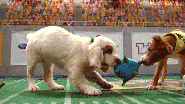 The event airs on Animal Planet on Super Bowl Sunday, and will feature 78 (🚨adoptable!!!!!!!!🚨) very good dogs.