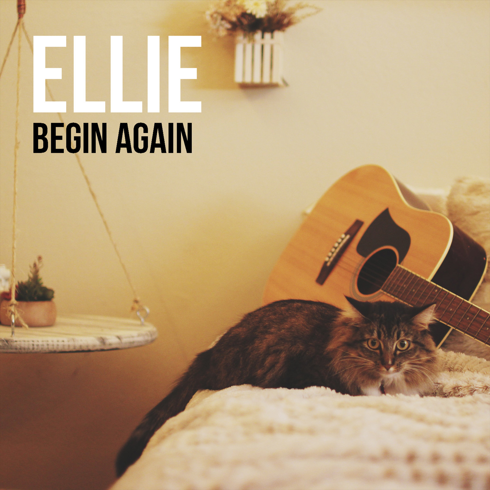 This is Reina's bedroom by the way, which is serious Begin Again Cover Goals.