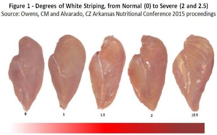 What's the difference between chicken breasts and fillets? - Quora