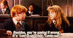 Harry Potter geeks can be found everywhere online, I am just one of many. You're even probably a huge Harry Potter nerd (why else would you click this article?). We're not hard to find because Potterheads tend to unashamedly broadcast their Potter pride for the entire online universe to see. Harry Potter fans have taken over every nook and cranny of the Internet. There isn't a social media platform where we have yet to infiltrate and made our own. Whether its YouTube, Facebook, Tumblr, Instagram, or even Pinterest, we are definitely lurking there, sipping Butterbeer and correcting your Charms incantations. And we're not sorry for it.
