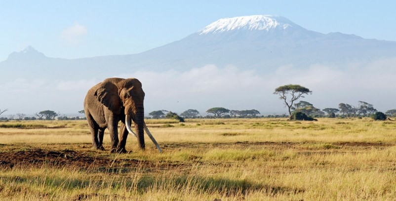 For Valentine’s day, lovers will go to the ascent of Kilimanjaro (Tanzania), the “roof of Africa” which rises the more than 5800m altitude. A stay in the heart of Africa, where couples will discover, by the Rongai route, wet forests, and savannas filled with African wildfire where lions, leopards, elephant, giraffes, zebras and other animals live together. The adventurers will end their journey at the foot of the volcanoes Mawenzi and Kibo. The return will be made by a different path: the way Marangu always at the heart of Kilimanjaro national Park. This trip includes flights, full board, transfers and other benefits.