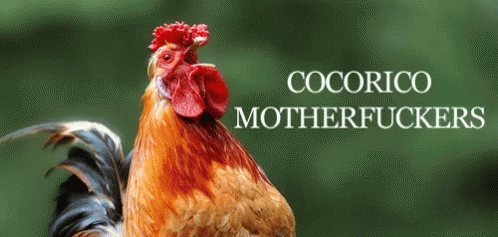 Pourquoi pas un truc majestueux comme un aigle ou un lion? Pourquoi un coq?