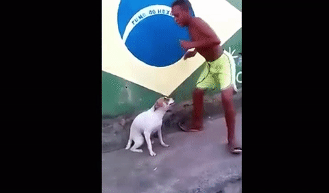 "É GOL! É GOL! É GOL! É GOL! "