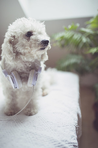 21 Facts We Didn't Know At The Start Of January This Year