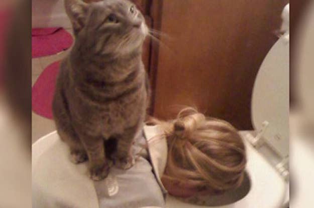 Cats Who Acted Suspiciously Human