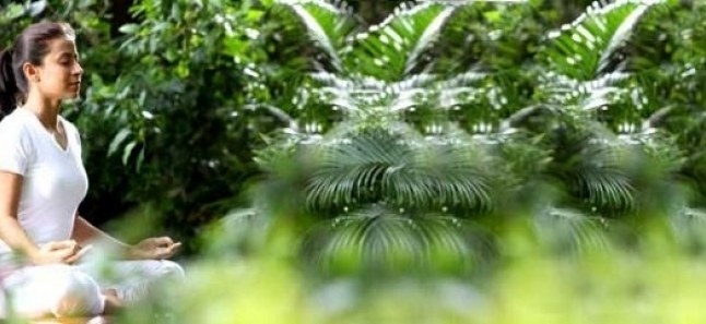 Even science has proved how meditation helps us cope with stress and remain calm during difficult times. When one get established in meditation, his will becomes undying and his thoughts become still and clear. The restless mind can be brought to rest with this practice.
