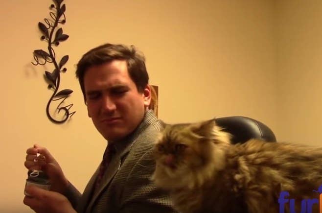 People Are Loving This Hilarious Low Budget Animal Shelter Commercial People Are Loving This Hilarious Low Budget Animal Shelter Commercial