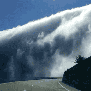 18 Photos That Ll Make You Feel Very Small And A Little Nervous Learn the myths and realities of this phobia which can be specific to large animals, ships, or other items. feel very small and a little nervous