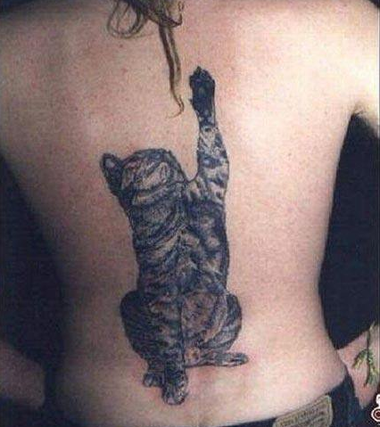 Esta tatuagem perfeita para os amantes de gatos: