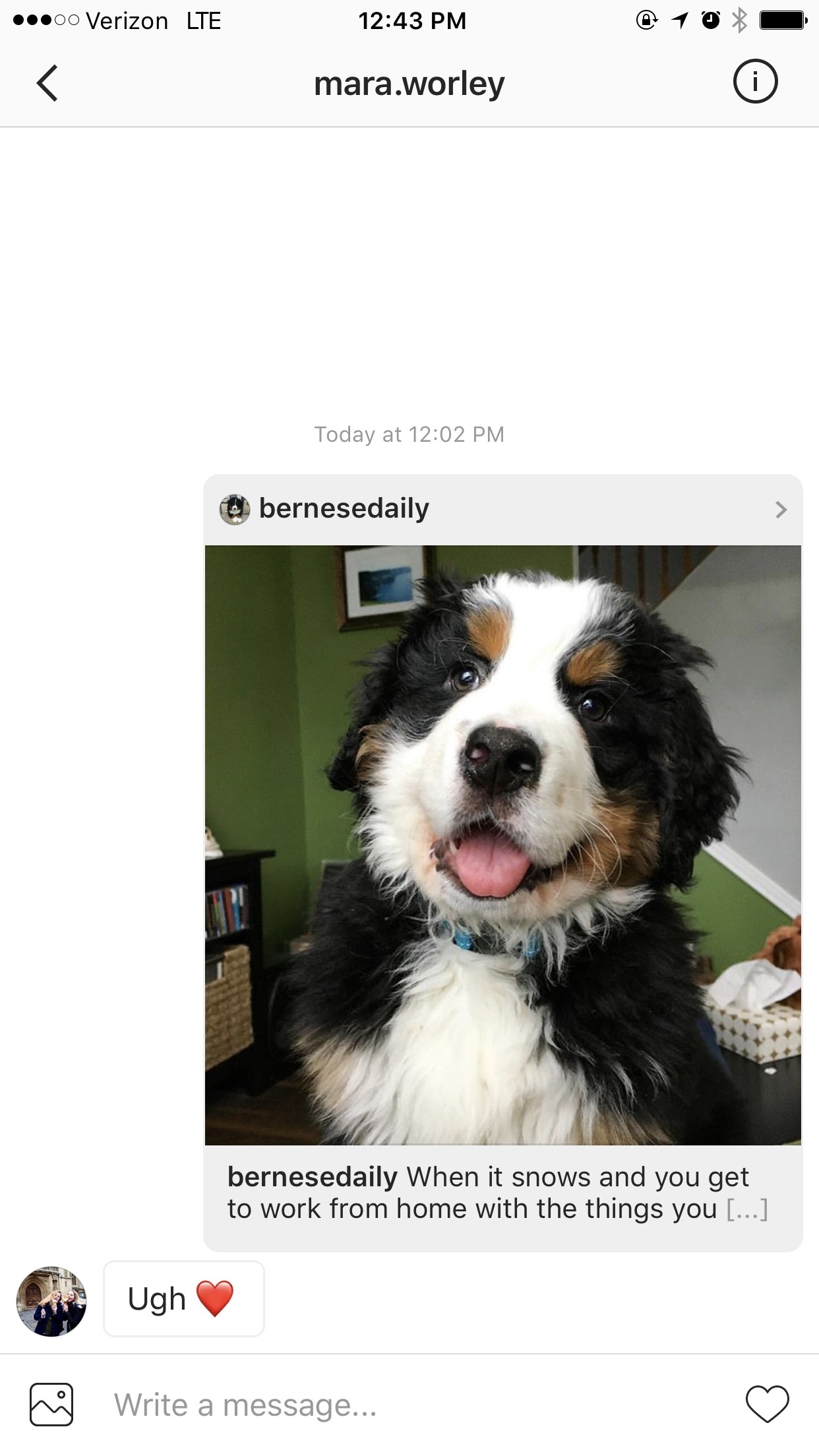 This dog lady uses her love for Instagram to bring good to the world.