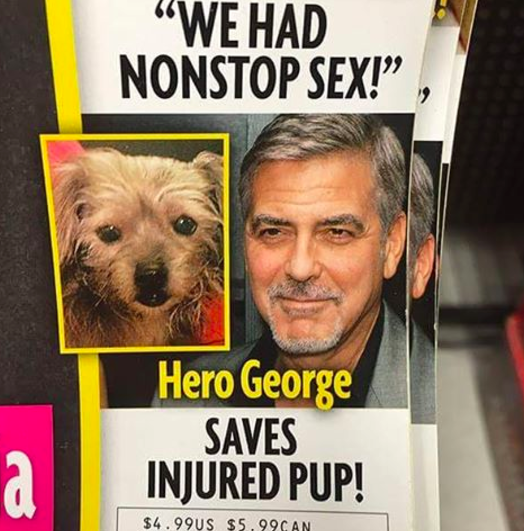 George, that's not how you save dogs.