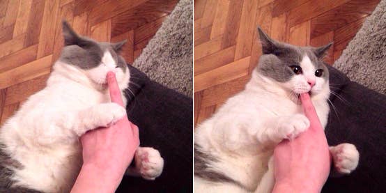 14 Questions That Will Determine Whether You Have A Weird