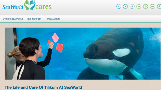 On their blog "Sea World Cares" the company addressed Tilikum's ties to Brancheau's death and surrounding controversy.