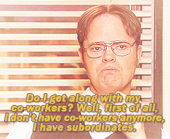 Dwight Schrute from "The Office"
