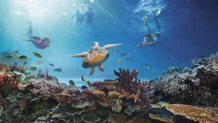 The Great Barrier Reef is a place you have to go to at least once in your life. This beautiful Heritage is simply indescribable. 2,300 kilometers of coral reef making it the world, home to countless marine species, some known and many unknown biggest coral system.The best way to discover this beautiful jewel of nature is ... diving! On the beautiful island of Magnetic there are many tour operators willing to to rent scuba and help you live a unique experience.