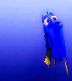 Dory