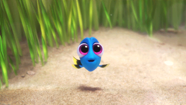 Baby Dory
