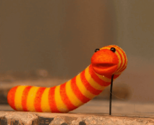 The Tapeworm Diet is exactly what it sounds like: People swallow tapeworms that attach themselves to the intestines and eat some of the people's food for them. Sounds great, right? The only major problems with this diet plan are: a) it's extremely illegal, and b) it's life-threateningly dangerous. So if you don't want to go to jail or die, you might want to avoid this terrible diet plan.