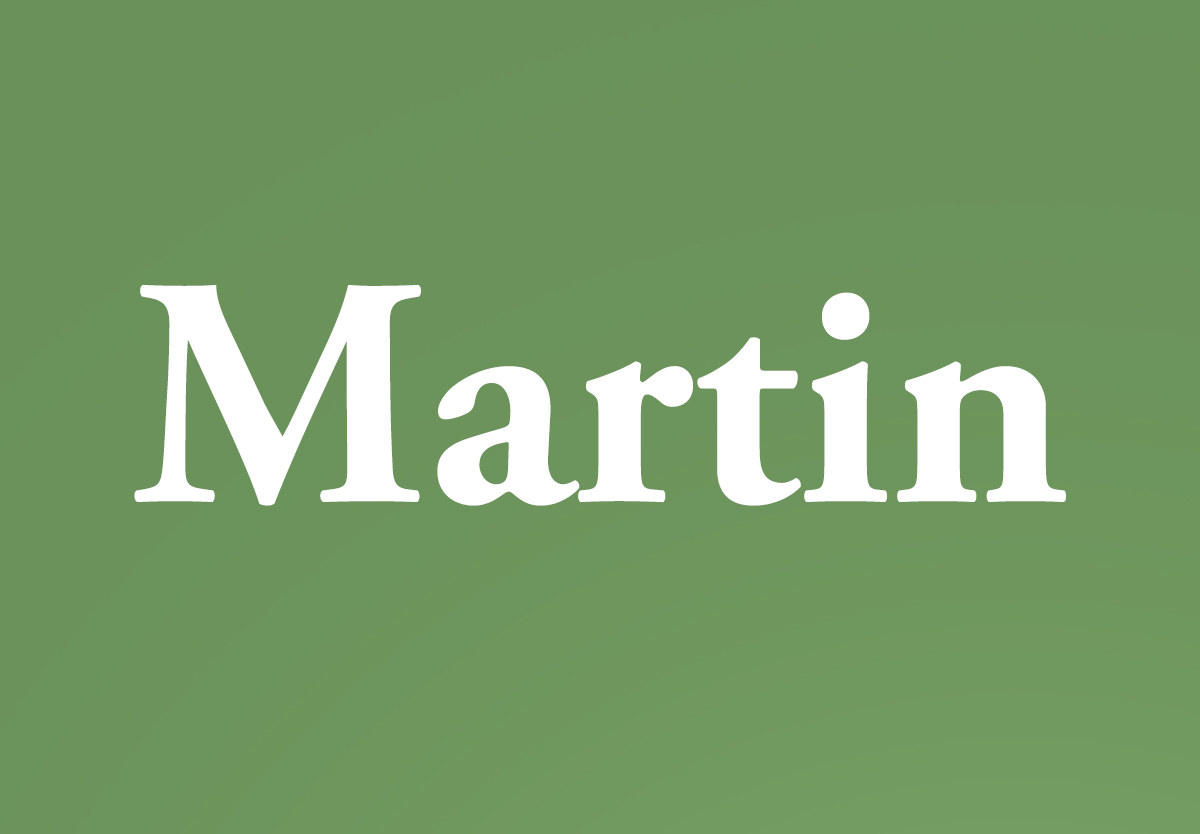 16-ways-people-with-the-last-name-martin-rule-the-world