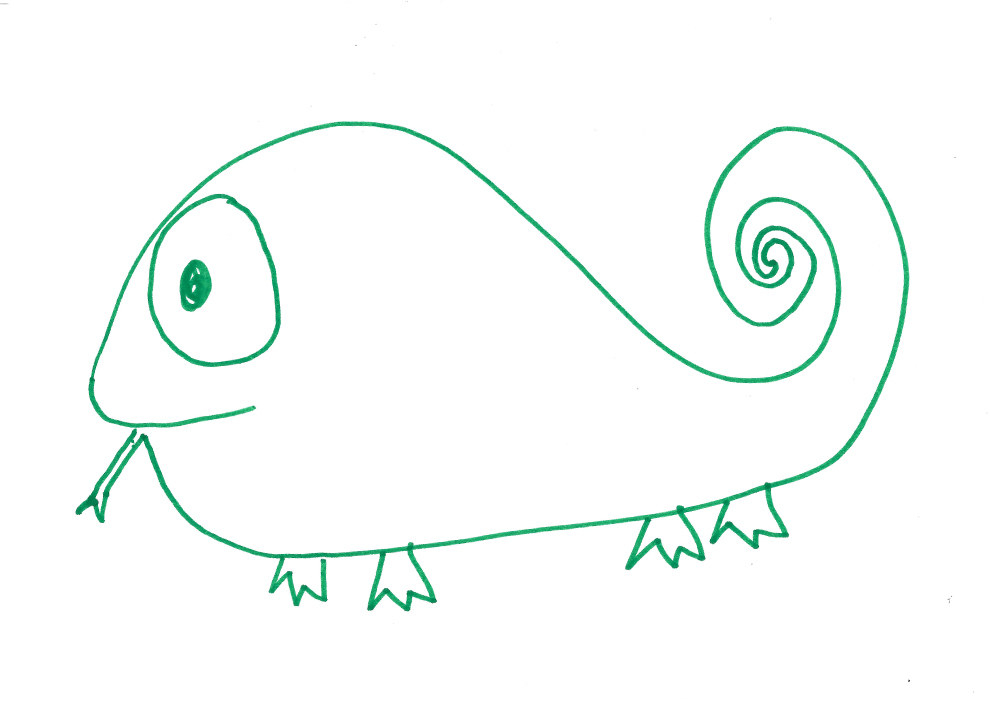 18 People Try To Draw A Chameleon From Memory