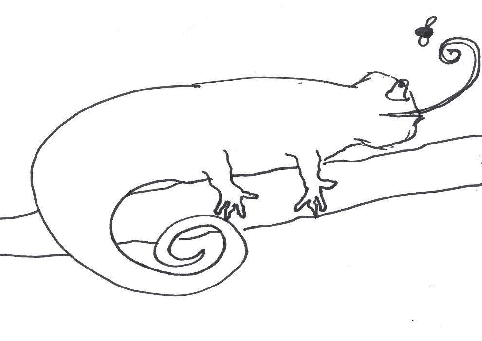 18 People Try To Draw A Chameleon From Memory