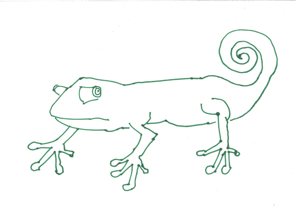 18 People Try To Draw A Chameleon From Memory