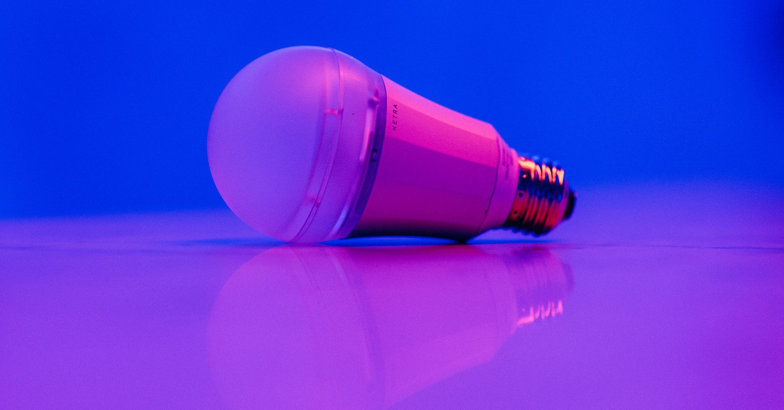 How Many Startups Does It Take To Change A Lightbulb 
