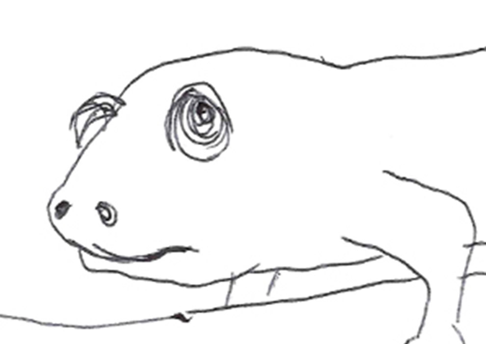 18 People Try To Draw A Chameleon From Memory