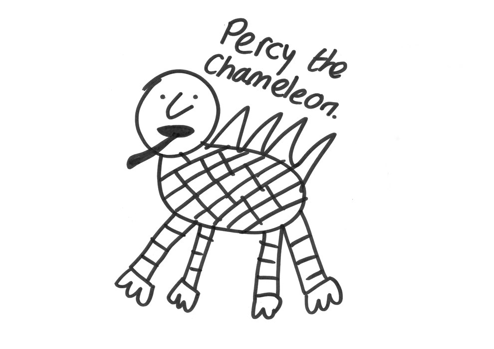 18 People Try To Draw A Chameleon From Memory