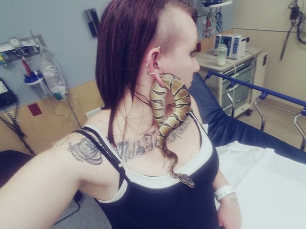 Last week, Glawe's pet ball python, Bart, got stuck in her gauged earlobe. Here is a photograph of that.