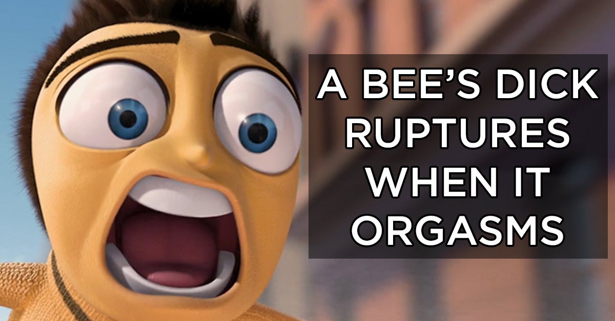 26 Facts That Will Ruin Your Day